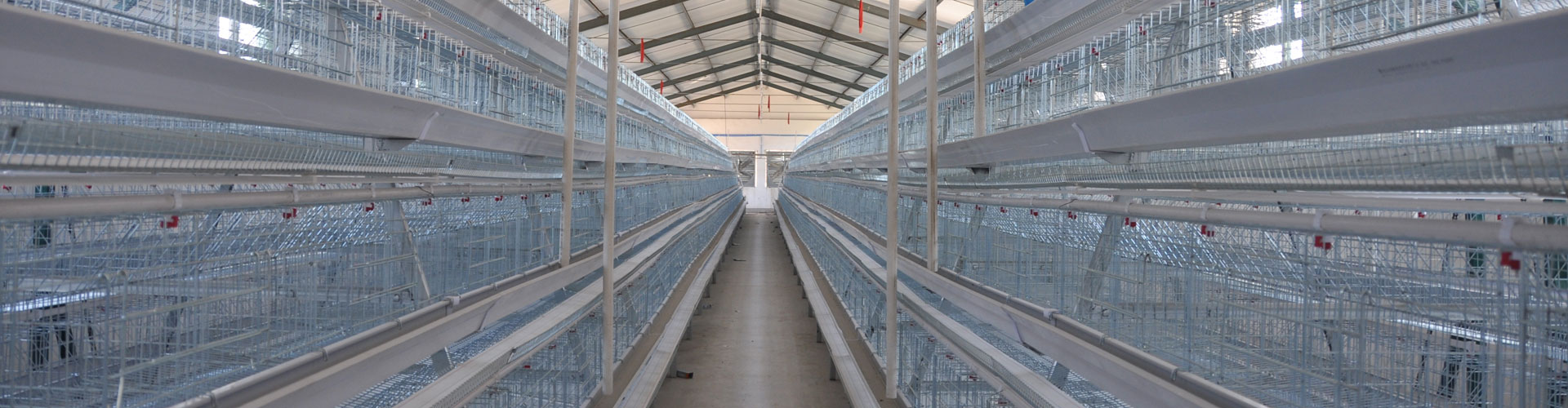 2.Animal-Breeding-Cage2